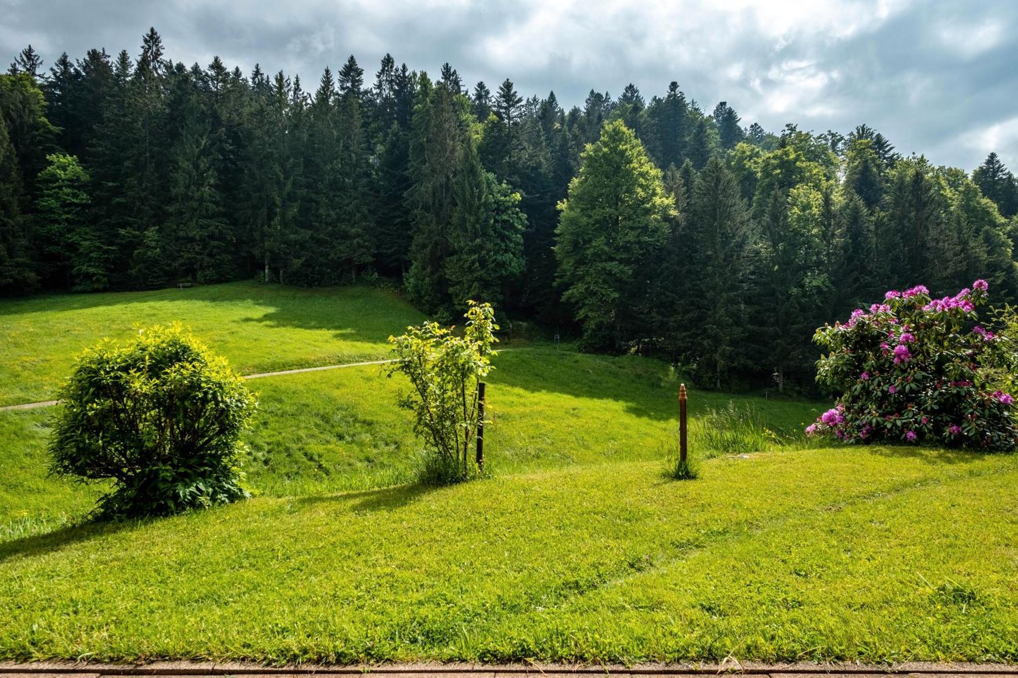 Schreinerhaeusle Naehe Titisee Himmelreich Buitenkant foto