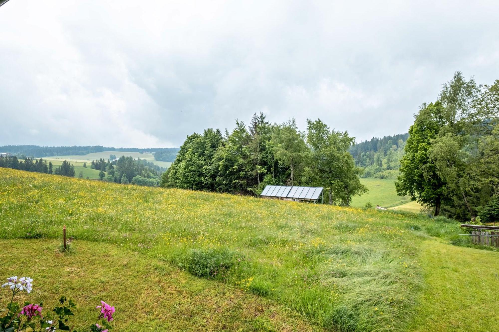 Schreinerhaeusle Naehe Titisee Himmelreich Buitenkant foto